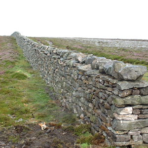Each course of stones bridges the join between the stones beneath it, creating a stable wall, spreading the load. The stones slop slightly outwards, allowing rain water to run out of, not into, the wall.